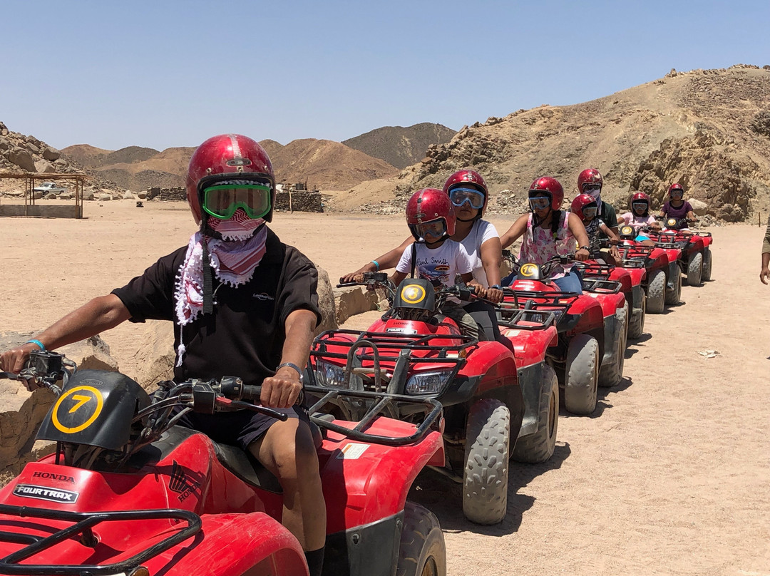 Sahara Desert-New Valley Governorate必去景点