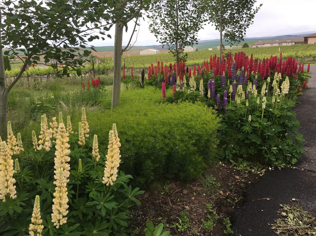 Johnson Ridge Inn & Vineyard主图