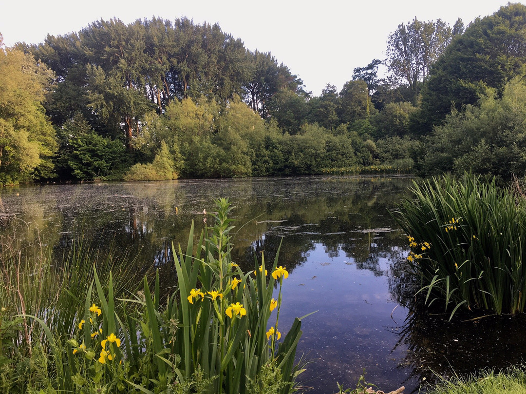 利迪亚德大厦会议中心酒店主图