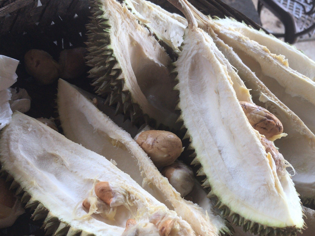 Bao Sheng Durian Farm景点图片