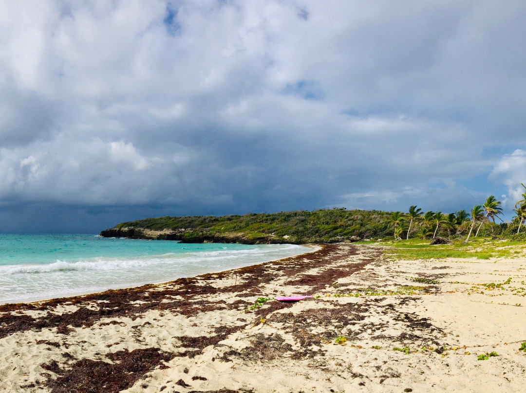 Playa Navío-Puerto Real必去景点
