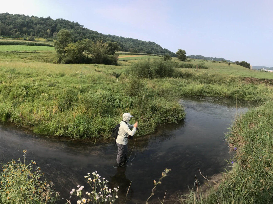 Driftless Angler景点图片