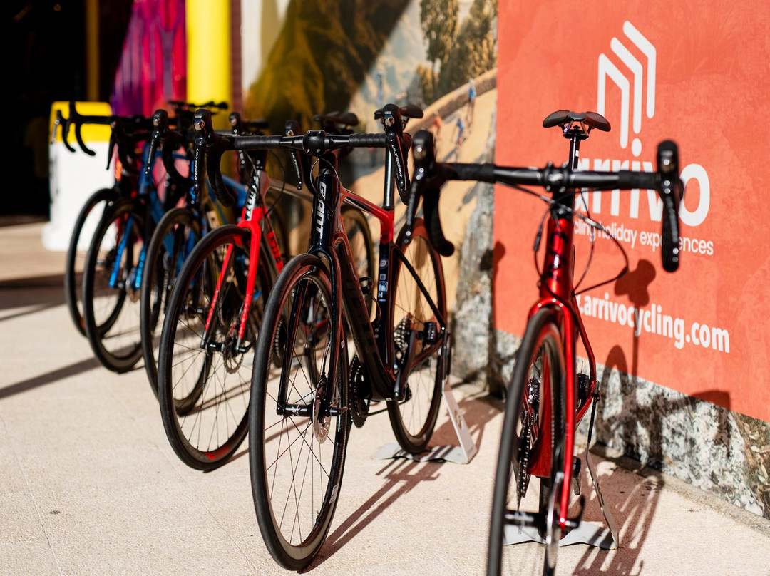 312 Bike House Platja de Muro景点图片
