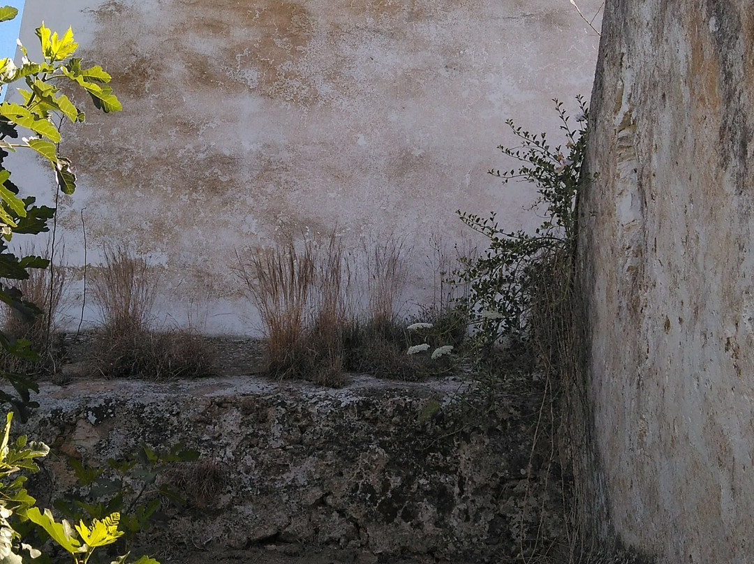 Molino del Realaje-Alcala de Guadaira必去景点
