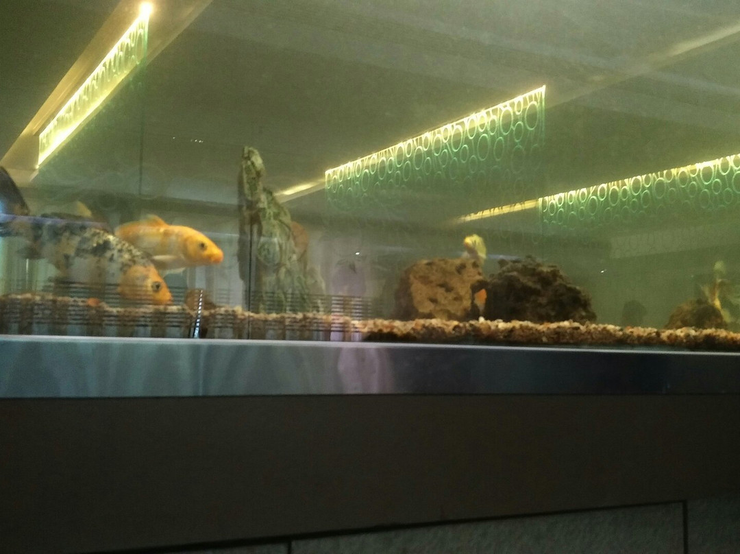 Hotel Sitara Grand - Miyapur主图