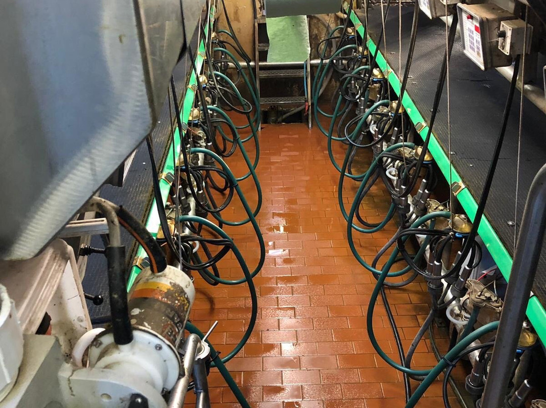 Boerderij de Verwondering主图