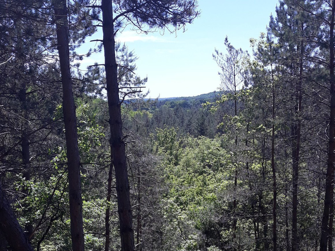 La Maison des Bois主图