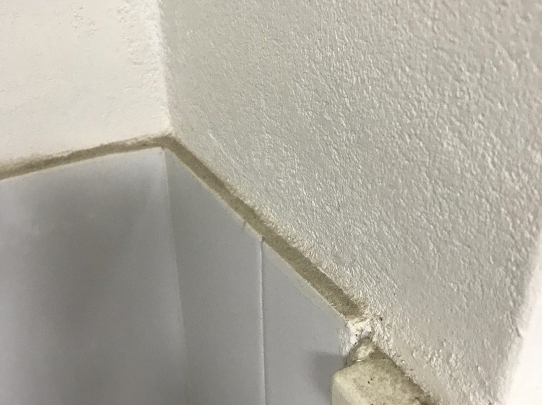 Timbertown Resort & Motel主图