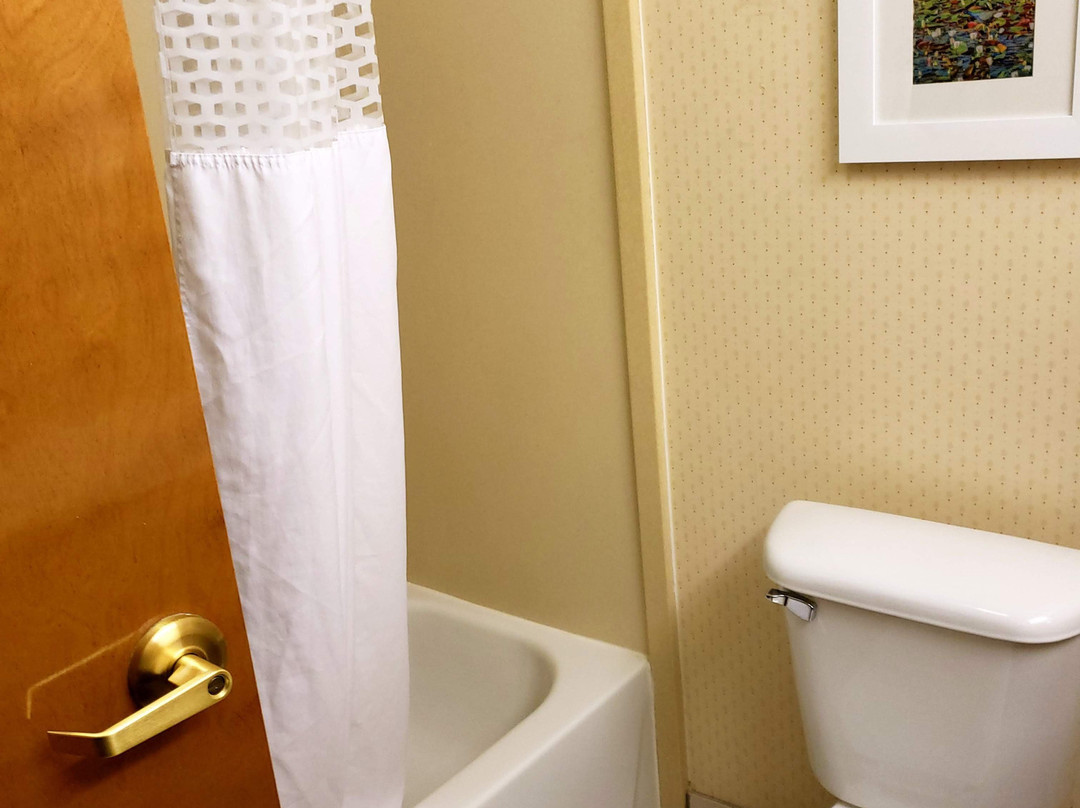 芒特霍利/西安普敦希尔顿花园旅馆主图