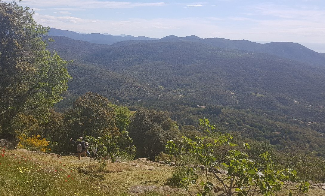Chapelle Notre Dame de Miremer-La Garde-Freinet必去景点