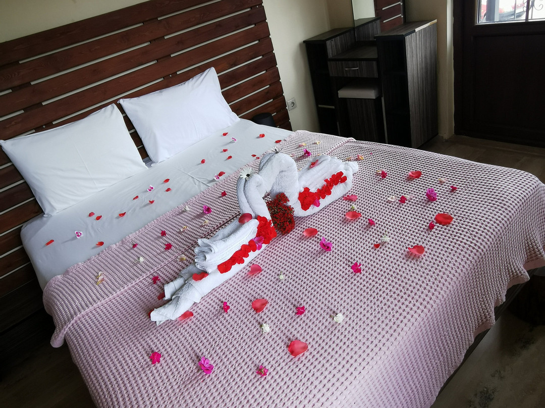 Ilkim Apart Otel主图