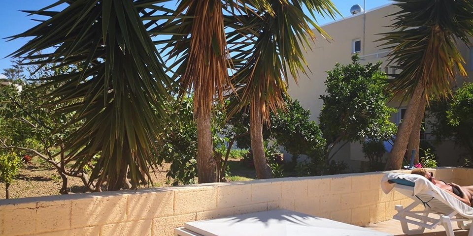 Yiannis The Beekeeper Apartments主图