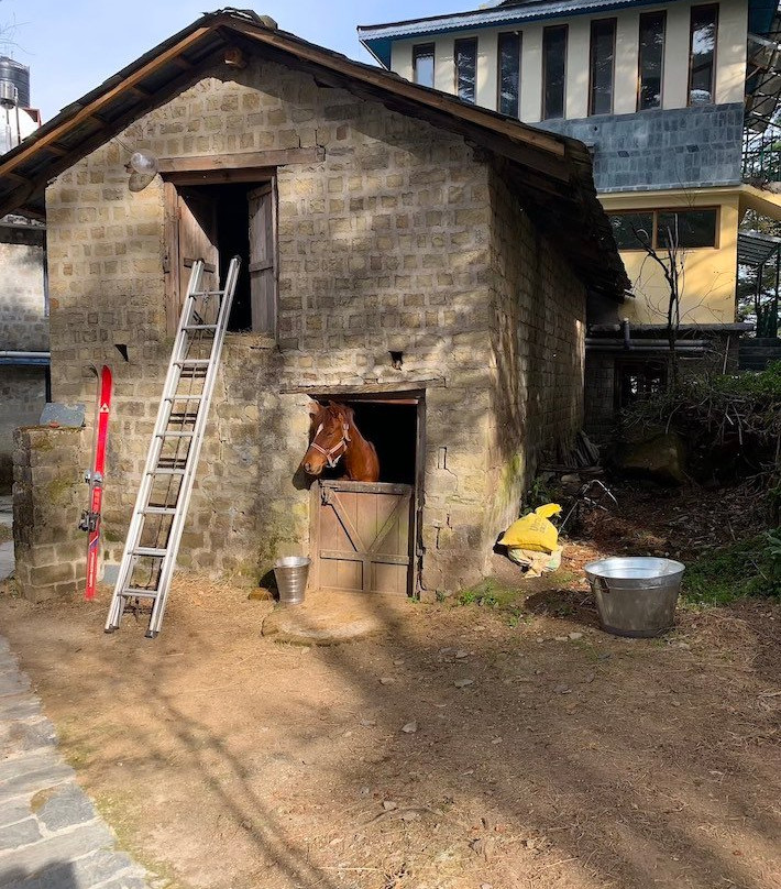 Hotel Eagles Nest主图