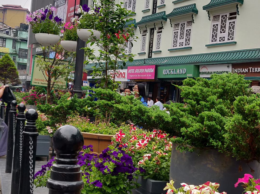 Sikkim Travellers-Singtam必去景点