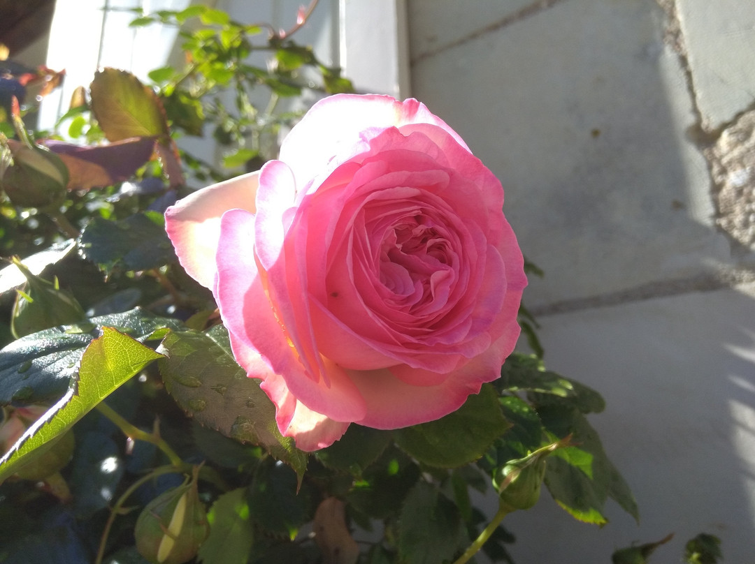 La Grange Dîmiere主图