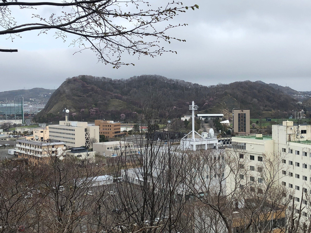 Muroran Hachimangu Shrine-室兰市必去景点