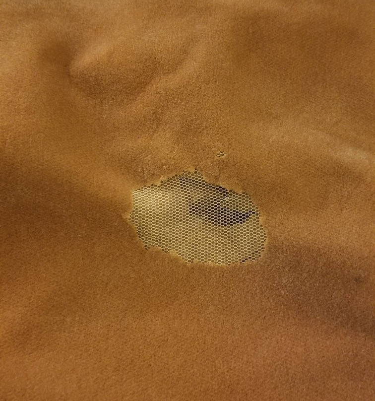 Super 8 By Wyndham Price主图