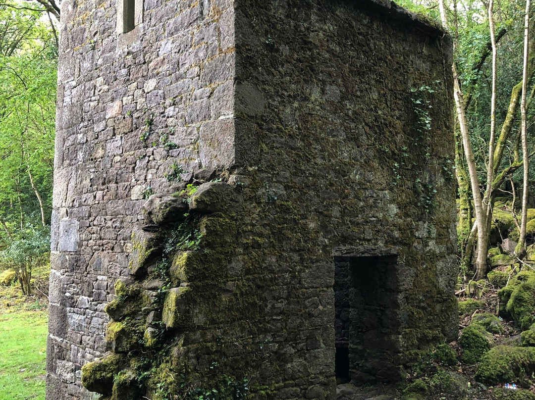 Carey's Castle-Clonmel必去景点