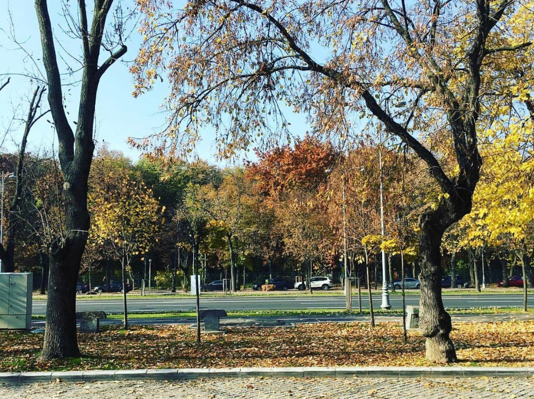 Bucharest Vibes-布加勒斯特必去景点