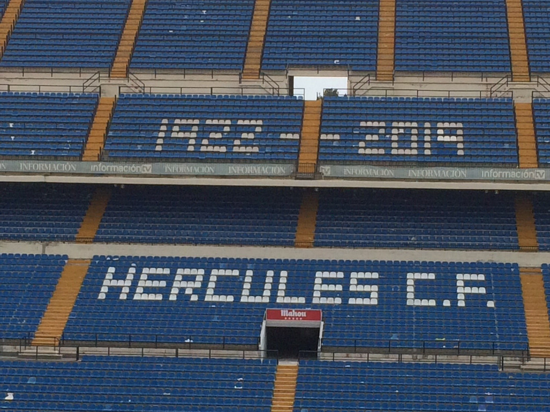 Estadio Jose Rico Perez景点图片