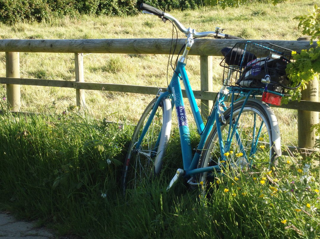 A to B Cycles