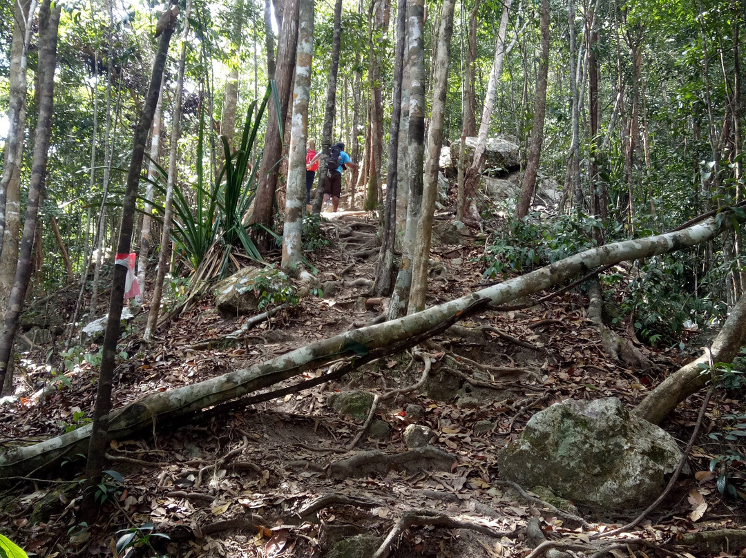 Gunung Arong Recreational Forest-Endau必去景点