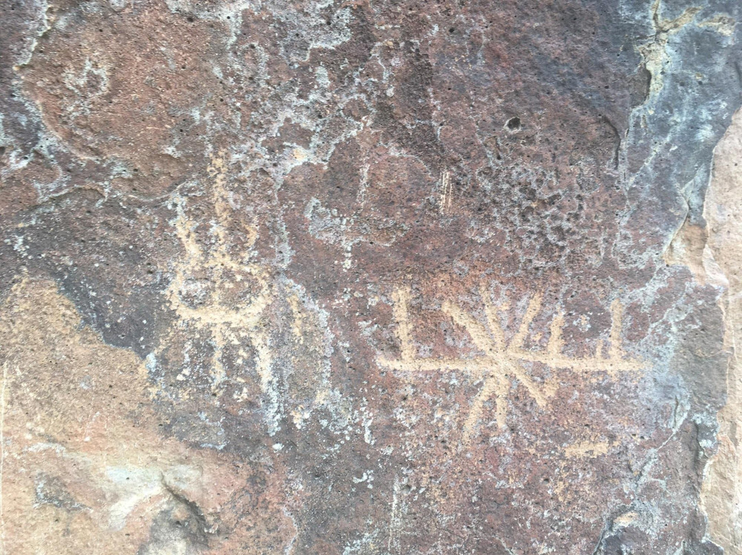 Go Big Bend-Terlingua必去景点