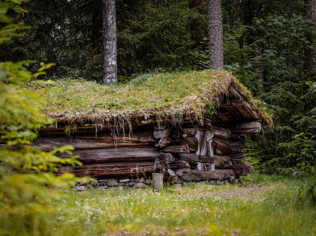Norsk Skogmuseum景点图片