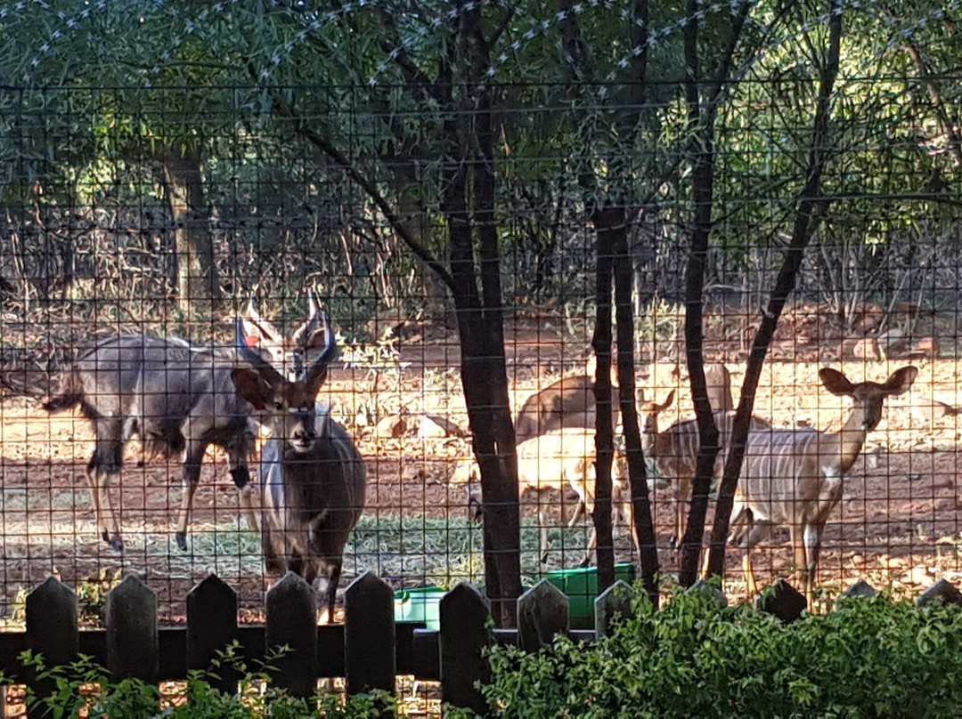 Boubou Bed And Breakfast主图