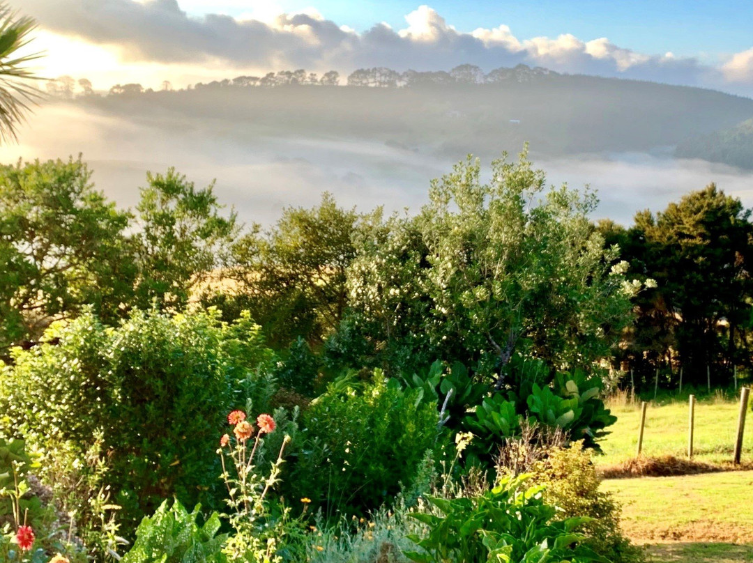 Petite Provence Bed & Breakfast主图