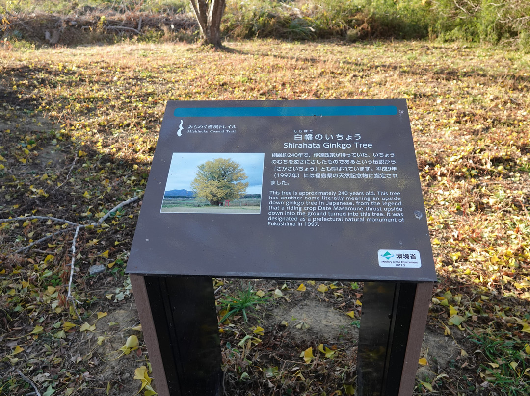 Shirahata no Icho-新地町必去景点