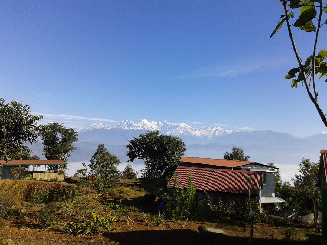 Himalaya Ontop Organic Coffee Estate景点图片