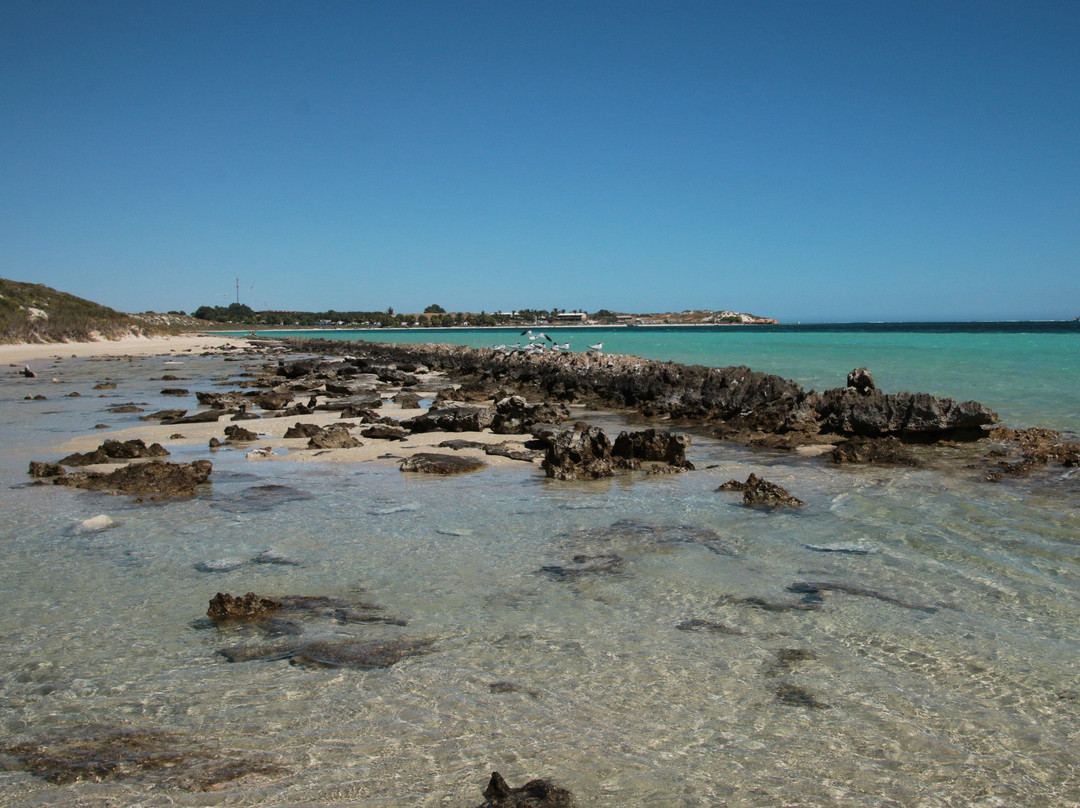 The Coral Bay Shark Nursery景点图片