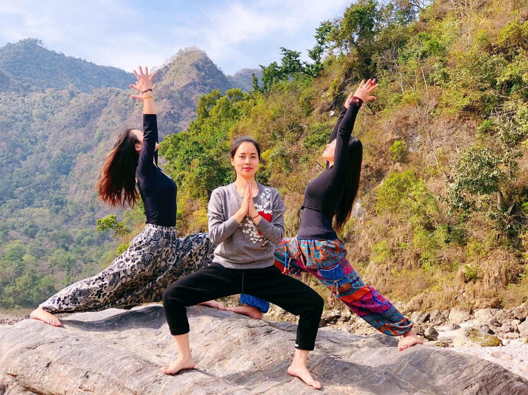 Yog Amritam Yoga Teacher Training景点图片