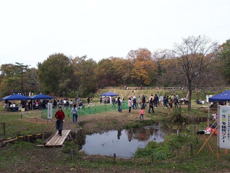 Hyogo Prefecture Yashirono Mori Park