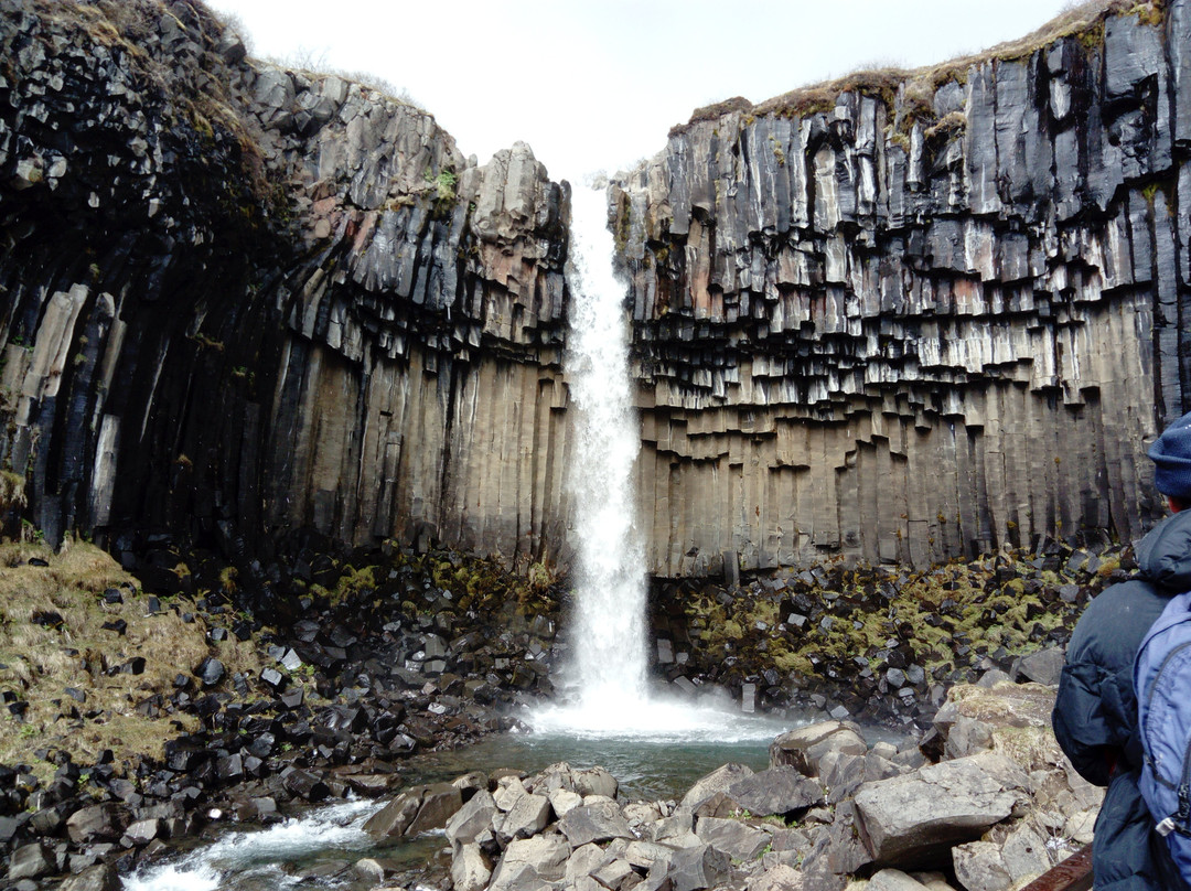 Svartifoss Waterfall景点图片