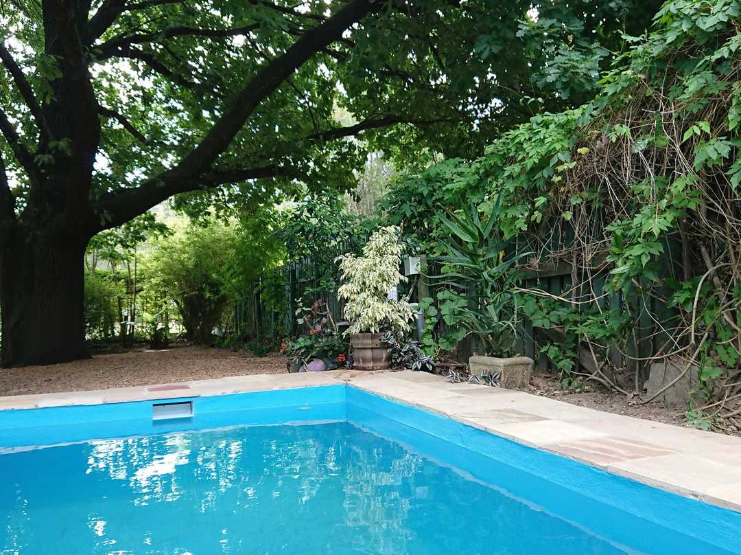 47 Berg Street主图