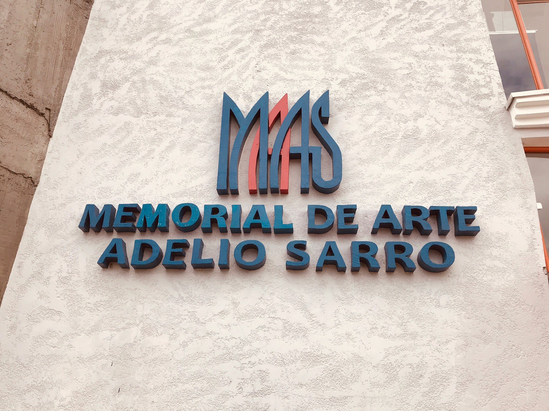Memorial de Arte Adelio Sarro景点图片