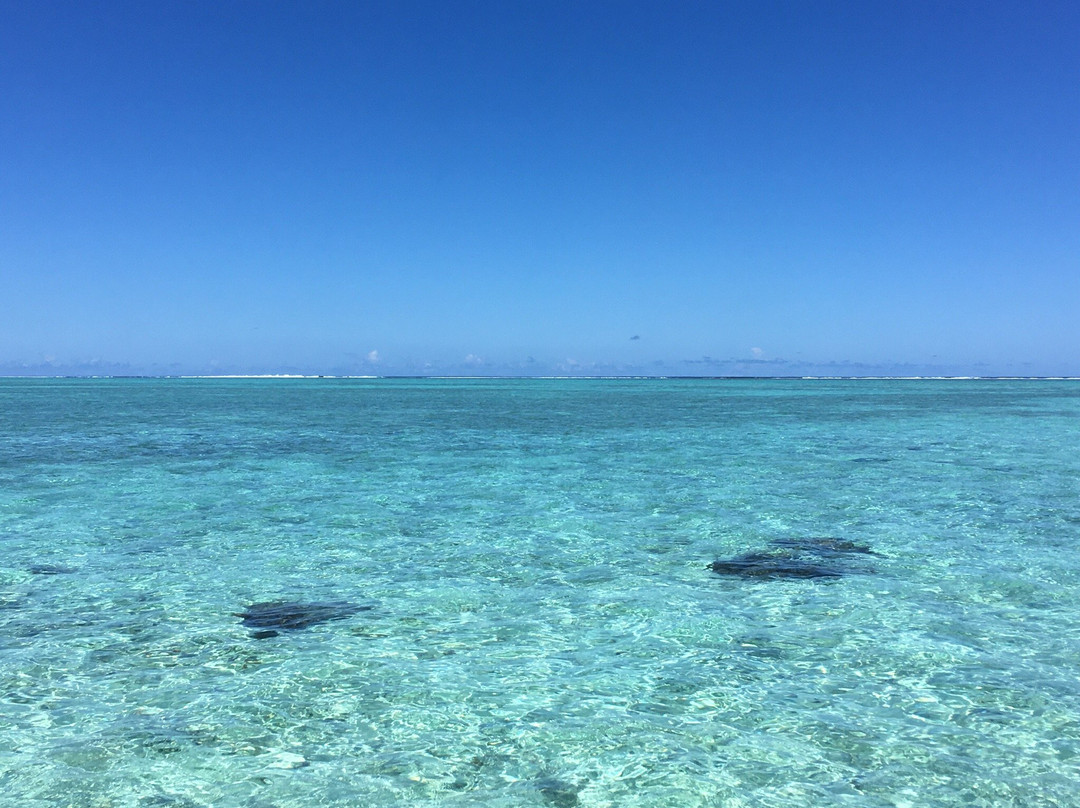 Leopard Rays Trench-波拉波拉岛必去景点