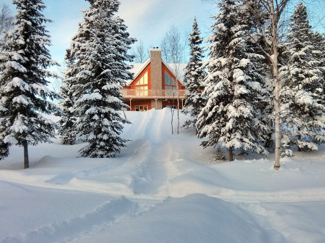 Chalet les Berges d'Alma B&B主图