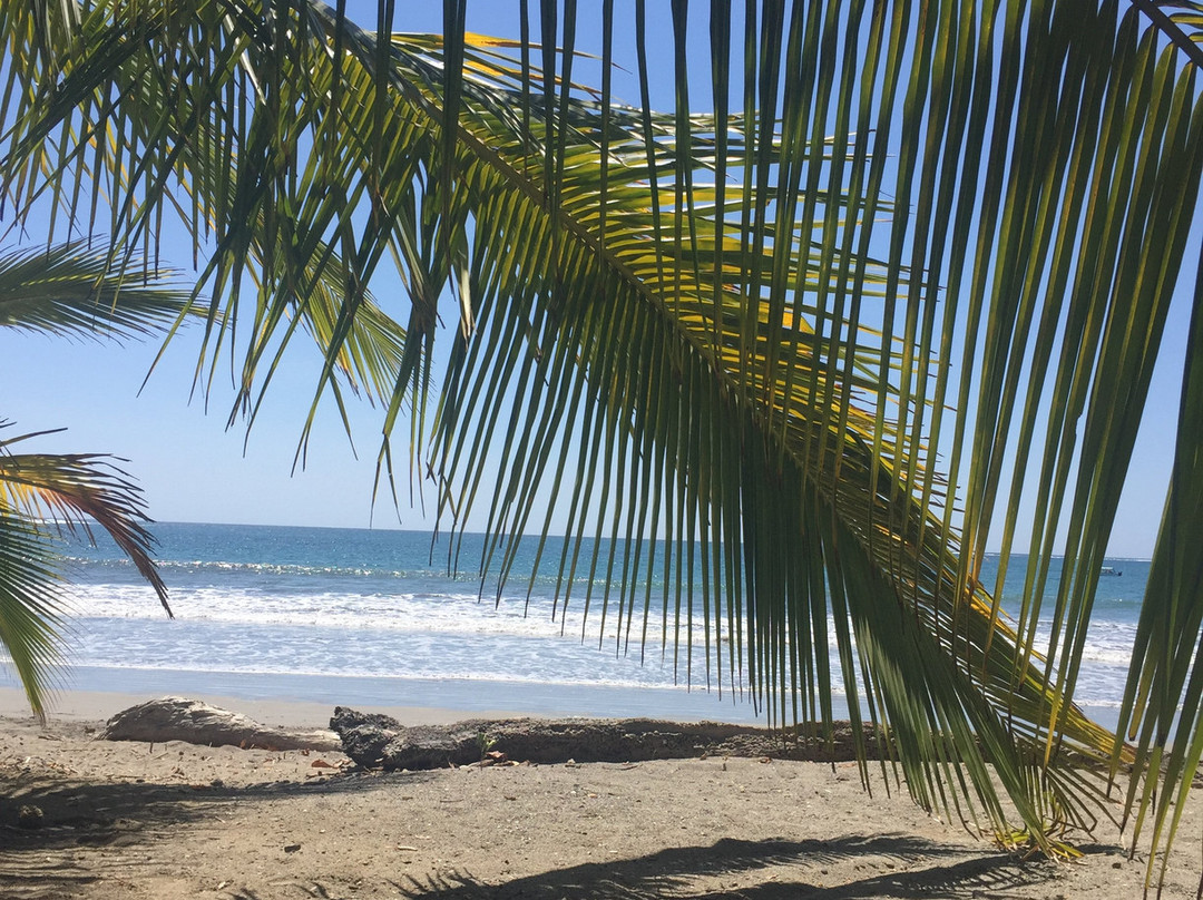 Fenix Hotel - On The Beach主图