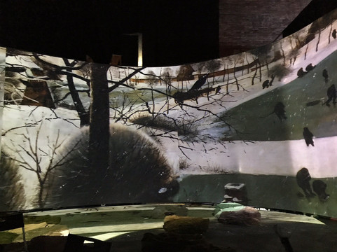 Lumiere-Hall-圣彼得堡必去景点