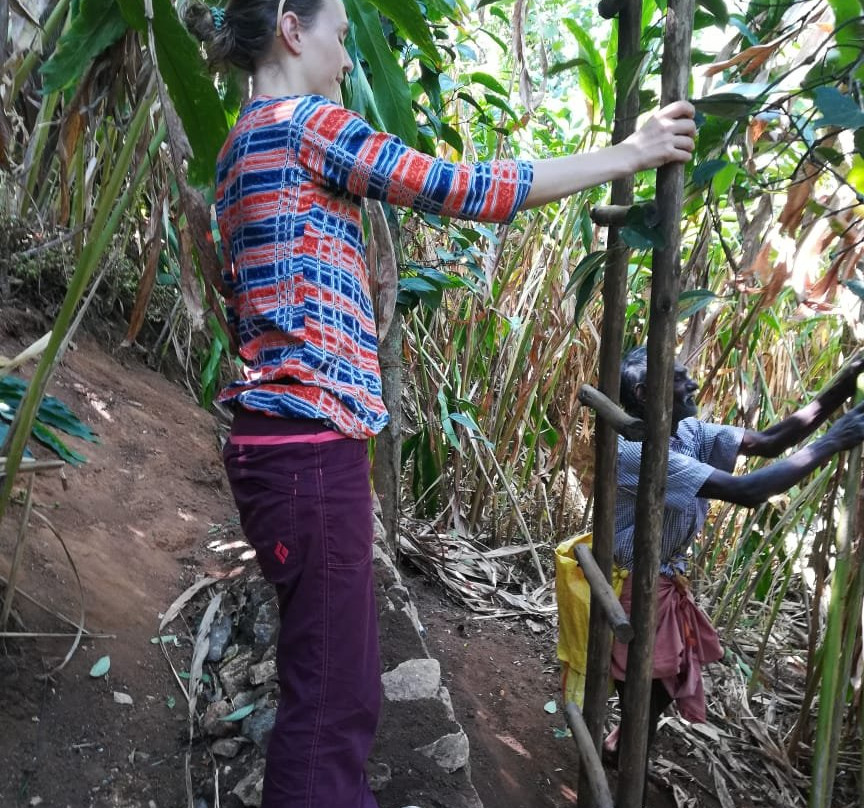 Cassells Resorts主图