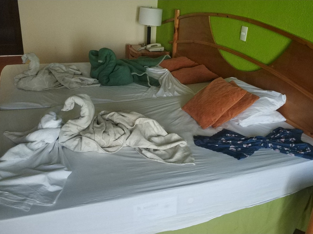 Hotel Puntarena Playa Caleta主图