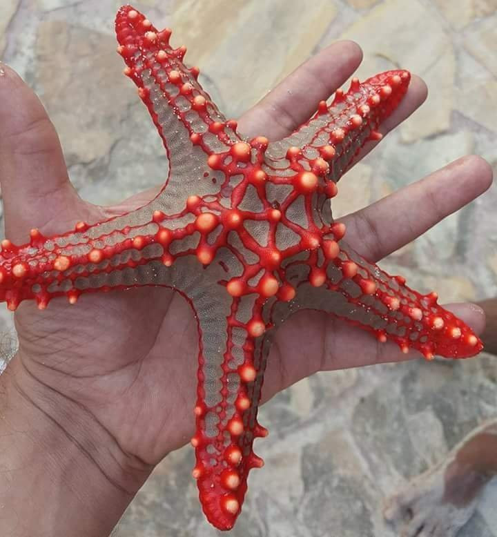 Tamarind Beach Hotel主图