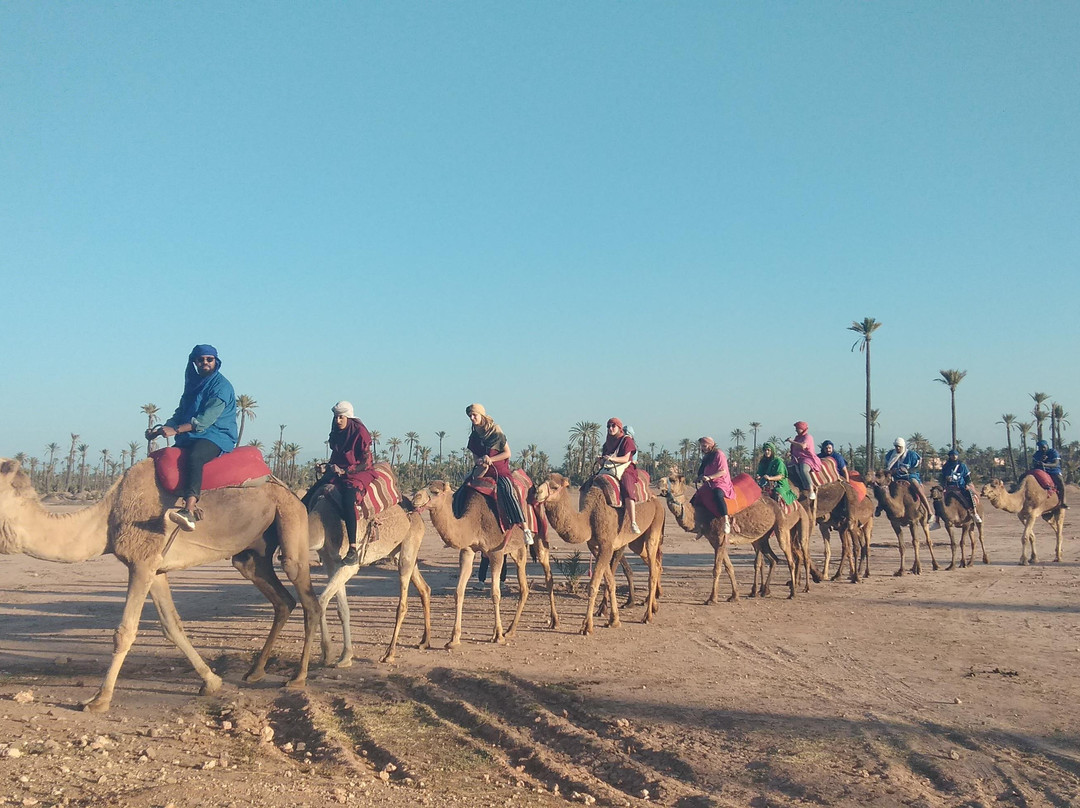 imskre tours-马拉喀什必去景点