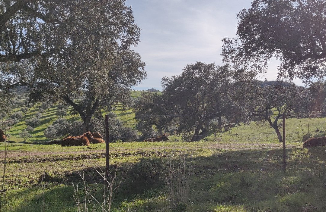 Parque De Natureza De Noudar-Barrancos必去景点