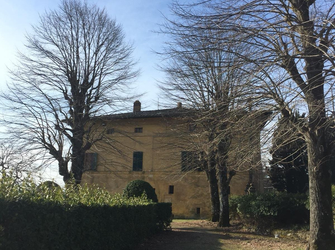 Villa Brandi景点图片