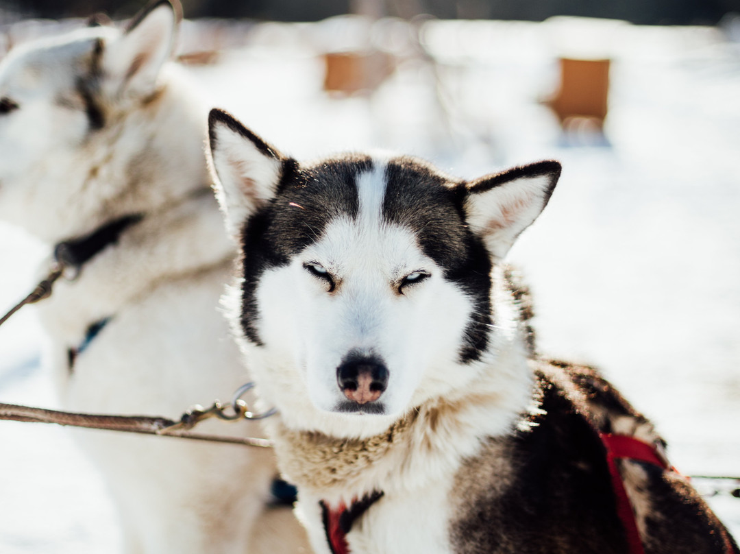 Kinadapt-Rawdon必去景点