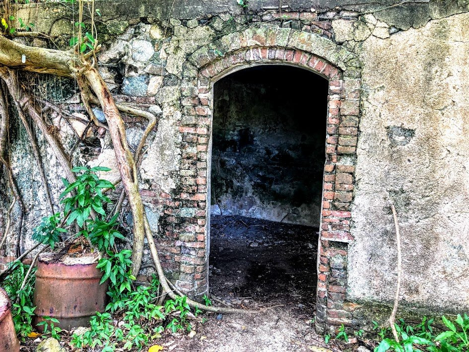 Vieques Conservation and Historical Trust景点图片